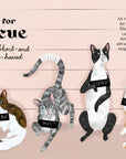 Catphabet : A Cat Alphabet
