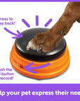 Brightkins Hunger for Words: Talking Pet Starter Set