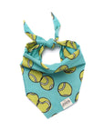 The Paws - Fetch Dog Bandana