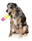 FuzzYard Chill Pill Dog Chew Toy