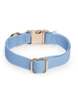 Shop Sunny Tails - Malibu Blue Waterproof Dog Collar