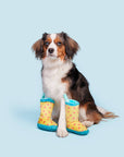 BARK Smelly Wellies