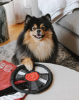 Lambwolf Collective - BARK TO BEAT //ENRICHMENT DOG TOY