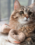 Lambwolf Collective - KITTY PIZZA & BAGEL SET//cat toy: Default Title