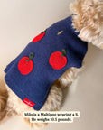 Lucy & Co. - Appley Ever After Sweater