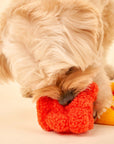 the furryfolks - Surfer Hooman Nosework Toy