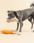 Petshop by Fringe Studio - WE CAME WE SAUR CANVAS MINI DOG TOY SET