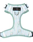 Lucy & Co. - Match Point No-Pull Harness