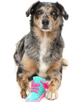 FuzzYard Fresh Kicks N' Licks Dog Chew Toy