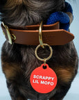Freshwater Curated Goods™ - Scrappy Lil Mofo Pet Tag