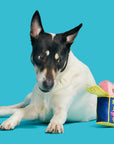 BARK Canned SMEAT Plush Dog Toy