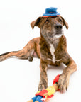 the furryfolks - Surfer Hooman Nosework Toy