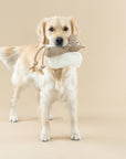 Petshop by Fringe Studio - EARTH FRIENDLY DOG TOY BRING MORE NUTS!