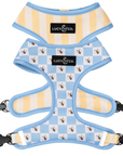 Lucy & Co. - Bumbling Around Reversible Harness