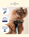 Lucy & Co. - Lucy & Co. x Parks Project Sequoia Seedlings Collar