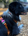 Jiby Dog Crew - Pet Me Dog Badge