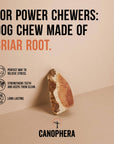 CANOPHERA LLC - Dog Chew Made of Briar Root.: L