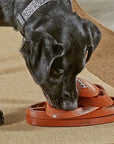 Brightkins Touchdown Time! Treat Puzzle