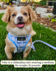 Lucy & Co. - Bowwow Wow! Reversible Harness: L
