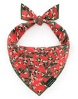 The Foggy Dog - Rifle Paper Co. x TFD Mistletoe Dog Bandana