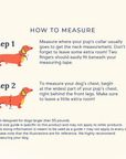 Lucy & Co. - Bowwow Wow! Reversible Harness: L