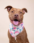 The Paws - Bingin Dog Bandana