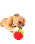 Awoo - Poison Apple Felt Wool Toy