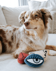Lambwolf Collective - PICASSO//ENRICHMENT DOG TOY