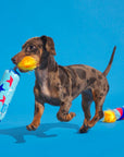 BARK Pup-Pup Fireworks Fourth of July Plush Dog Toy Small