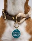 Freshwater Curated Goods™ - Cute But Will F*ck Sh*t Up Pet Tag