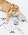 Wild One - Cat Wild Wand