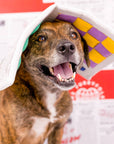 the furryfolks - Newspaper Nosework Toy