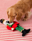 The Foggy Dog - Nutcracker Interactive Snuffle Dog Toy