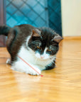 KONG® Laser Pointer Cat Toy