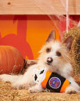 BARK Spooky Boo Brew Plush Dog Toy