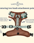 Lucy & Co. - You're a Square No-Pull Harness: Large