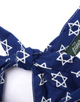 The Paws - Lights Hanukkah Dog Bandana