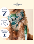 Lucy & Co. - Lucy & Co. x Parks Project Sequoia Seedlings Leash