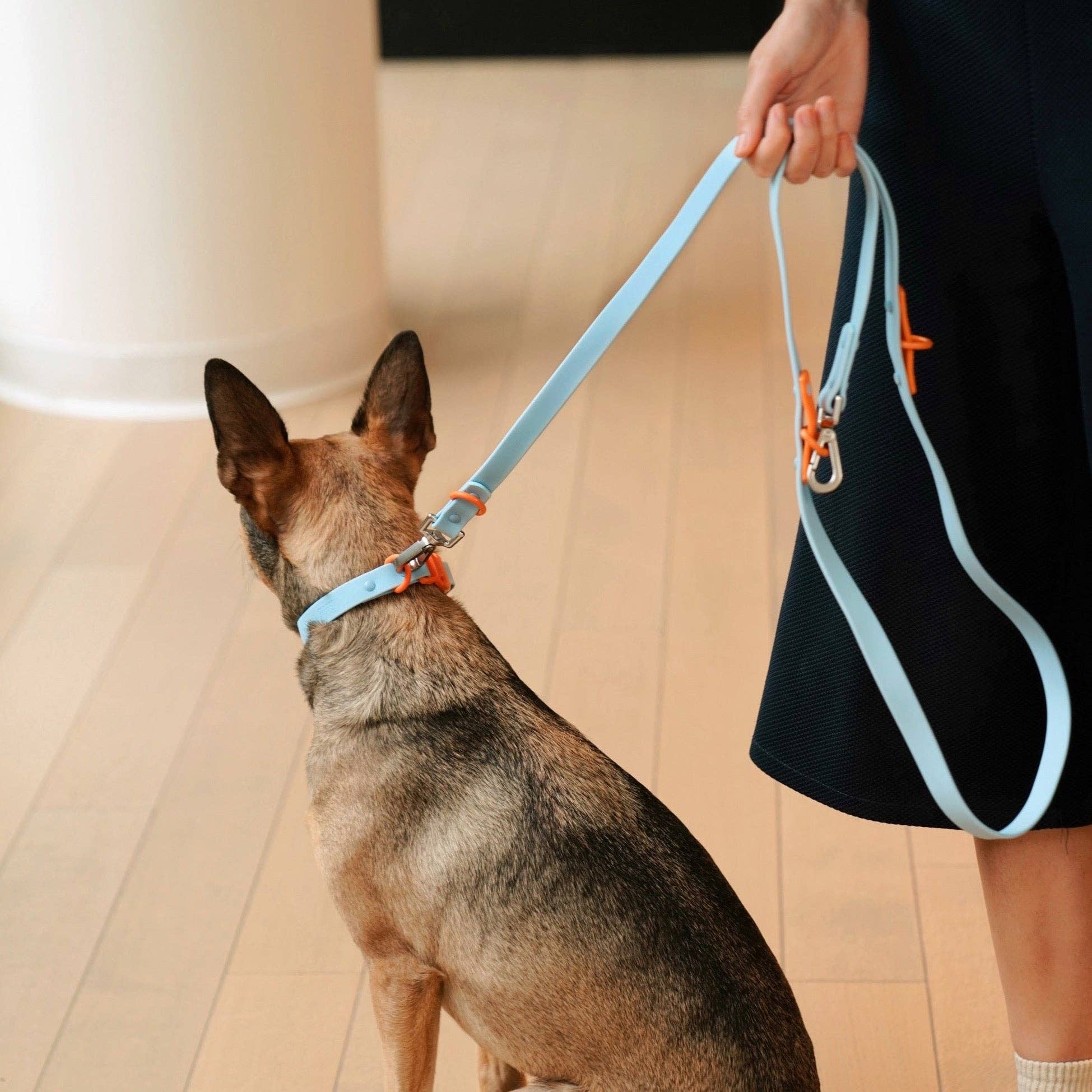The Fritz Collar Baby Blue and Orange