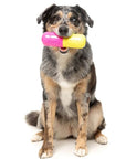FuzzYard Chill Pill Dog Chew Toy