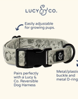 Lucy & Co. - Camp Out Collar: L