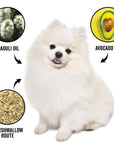 PRIDE + GROOM - DOGDAYS Conditioner Gallon