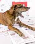 the furryfolks - Newspaper Nosework Toy