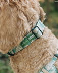 Lucy & Co. - Lucy & Co. x Parks Project Sequoia Seedlings Collar