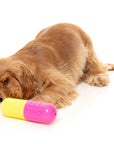 FuzzYard Chill Pill Dog Chew Toy