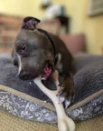 BetterBone Natural Dog Chews - VENISON Hard Density