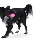 West Paw - Boundr® 2-Pack Dog Toy Ball for Play, Chew, and Fetch: Glow