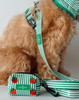 Lucy & Co. - Tomato, Tomahto Leash