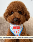 Lucy & Co. - The What's the Scoop Reversible Harness