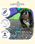 Lucy & Co. - Have a Nice Day Leash: Large